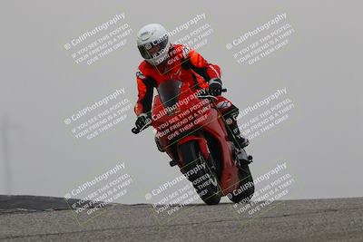 media/Nov-30-2025-TrackDaz (Sun) [[d8b22663df]]/C Group/Session 3 (Grapevine)/